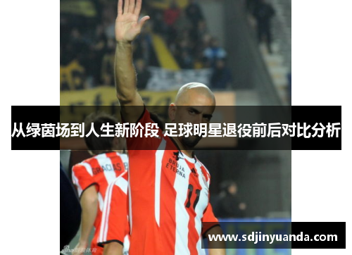 从绿茵场到人生新阶段 足球明星退役前后对比分析