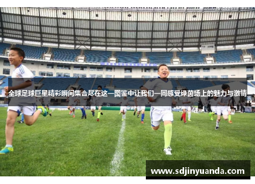 全球足球巨星精彩瞬间集合尽在这一图鉴中让我们一同感受绿茵场上的魅力与激情