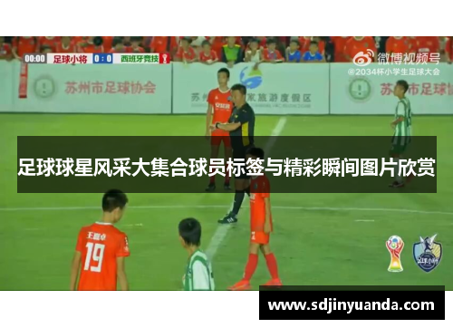 足球球星风采大集合球员标签与精彩瞬间图片欣赏