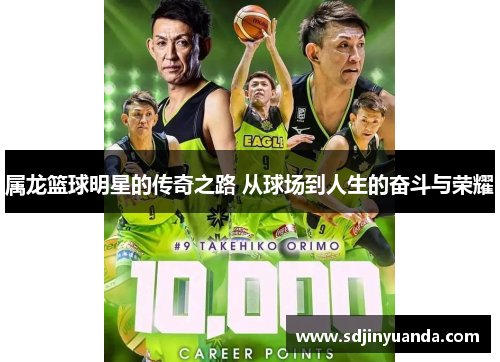 属龙篮球明星的传奇之路 从球场到人生的奋斗与荣耀